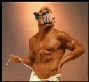 alf78