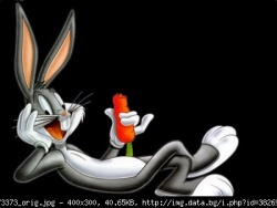 vli_90