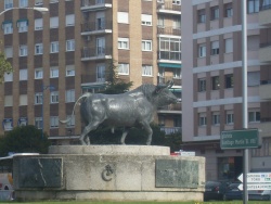 gordo