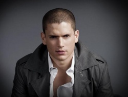 wentworth_miller_fenka