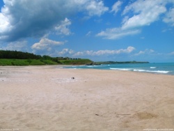 Tanchi