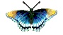 slpetrunova