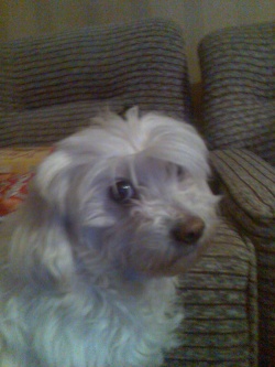 ralf