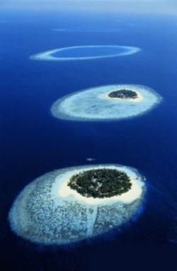 bluedeep