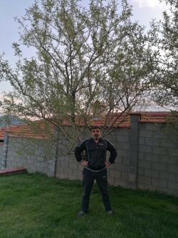 Vlaev60