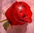 Tania_52