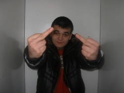 bastus