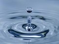 aquaface