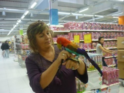 rosi1208