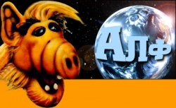 alf11