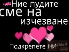 niko_82