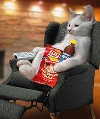 jerky