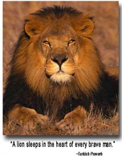lionito