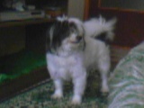 bleki1