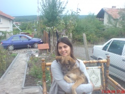 anibg85