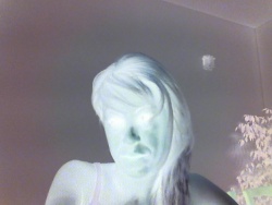 taniammm