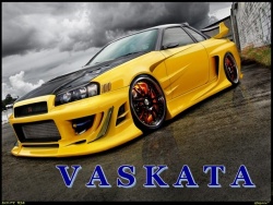 vaskata15