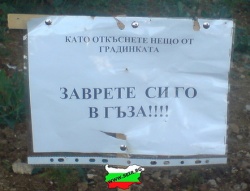 cvpetrov