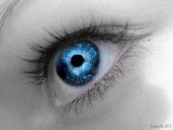 ivenceto_miss
