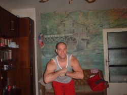 nikito77