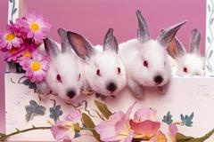 vikity_2000