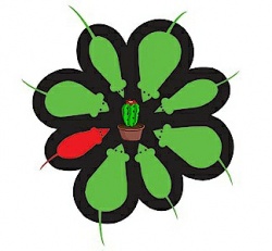 kreten