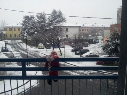 rosi_rz