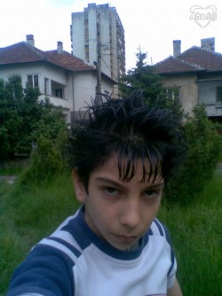 svinks_11