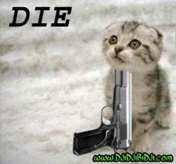 hahahahahaha