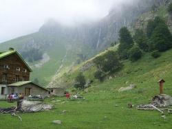 raichev46