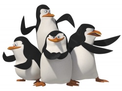 bnvz