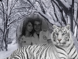 love_joro