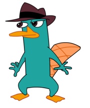 P_platypus