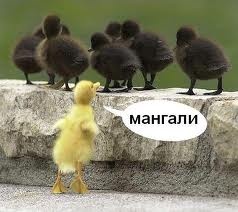 romantika007