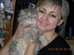 sisitodov