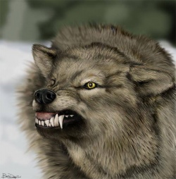 Black_Hunter