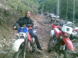 hondaxr