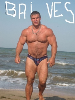 BAI_VES