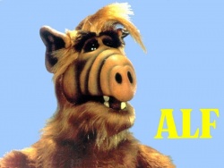 Alf083