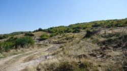 dvarsamov