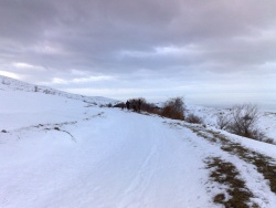 baikatapz