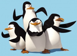 SueNoname