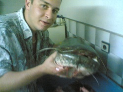 vlado_2001