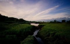 gladis_85
