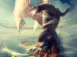 dragona92