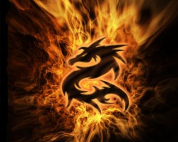 dragonskype17