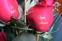 emyliana