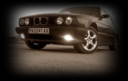 tedinka12345