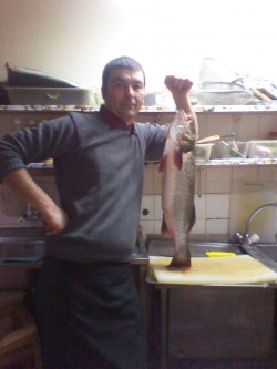 veselin7