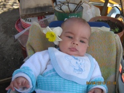 dntm